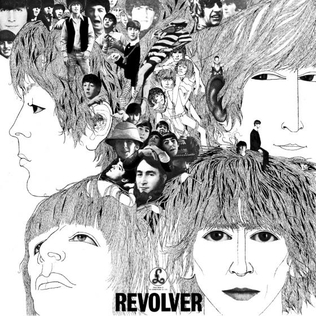 Revolver cover