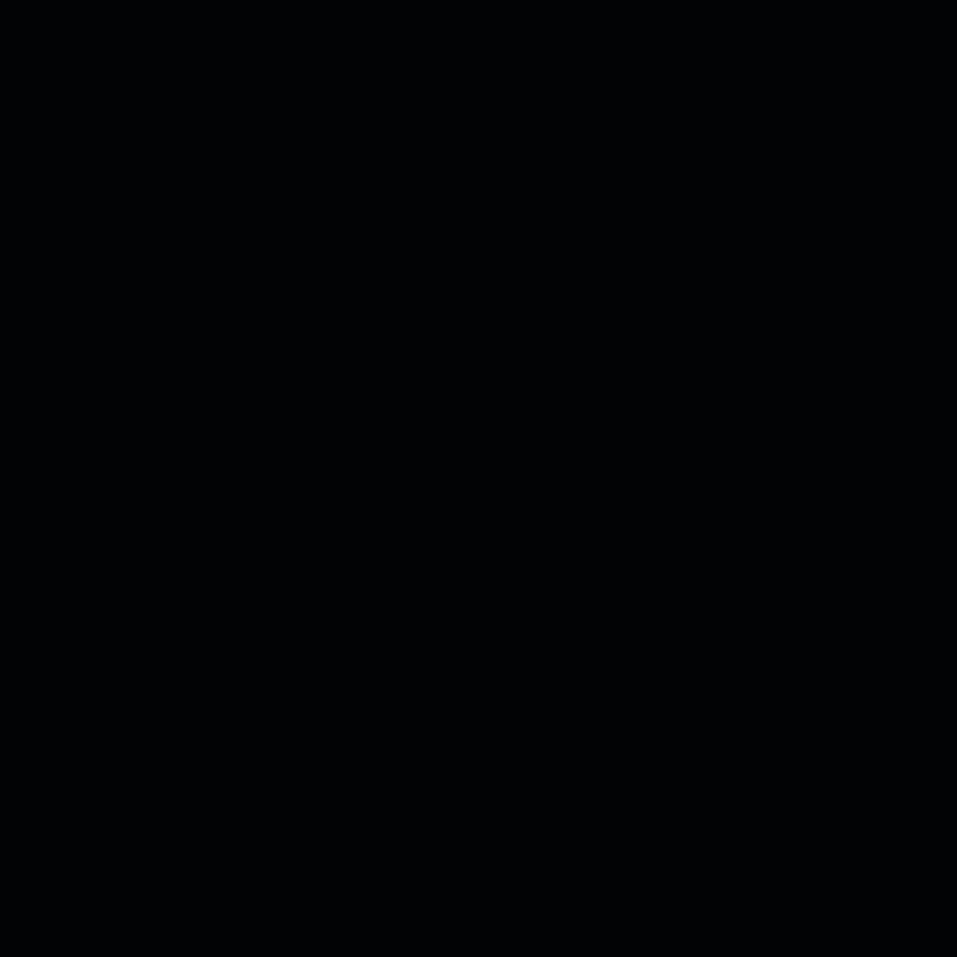 The Black Album cover